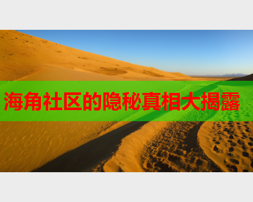 海角社区的隐秘真相大揭露  第2张