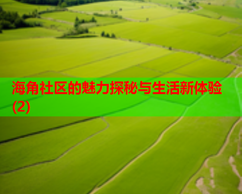 海角社区的魅力探秘与生活新体验(2)