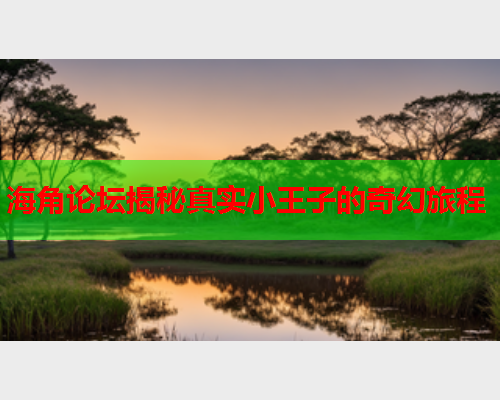 海角论坛揭秘真实小王子的奇幻旅程