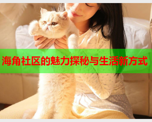 海角社区的魅力探秘与生活新方式  第2张
