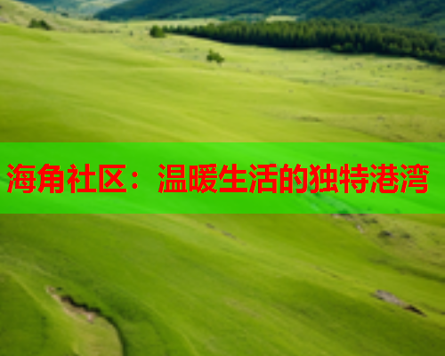 海角社区：温暖生活的独特港湾