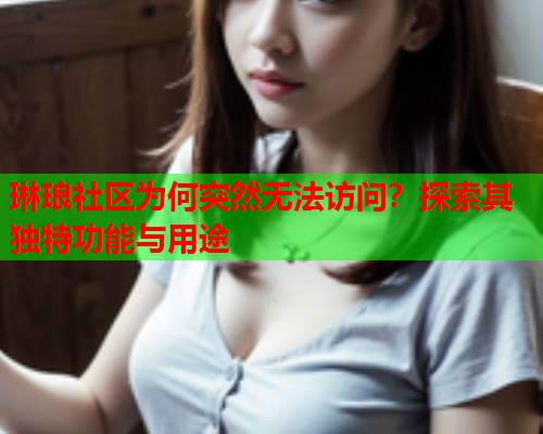 琳琅社区为何突然无法访问？探索其独特功能与用途