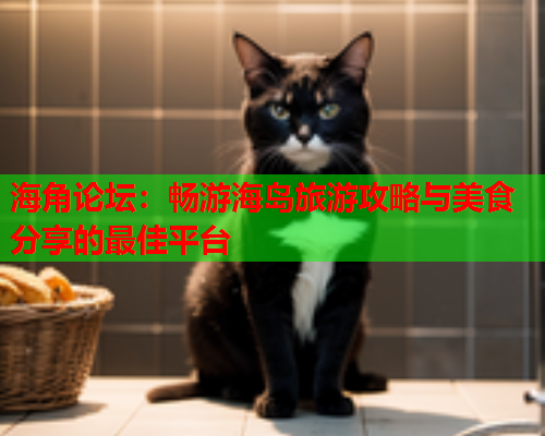 海角论坛：畅游海岛旅游攻略与美食分享的最佳平台