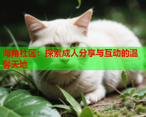 海角社区：探索成人分享与互动的温馨天地  第2张